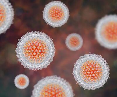 Kronik viral hepatitler önlenebilir ve tedavi edilebilir hastalıklardır