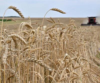 Ukraynadan uyarı: Rusya ülkede tahıl limanı bırakmayacak