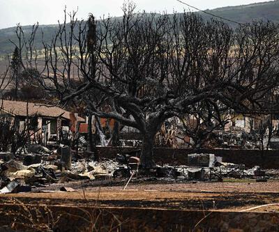 Hawaiideki orman yangınlarında can kaybı 111e yükseldi