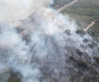 Gebze TÜBİTAK yerleşkesinde orman yangını: 10 hektar alan yandı