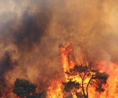 AFAD duyurdu: Çanakkale yangını kontrol altına alındı