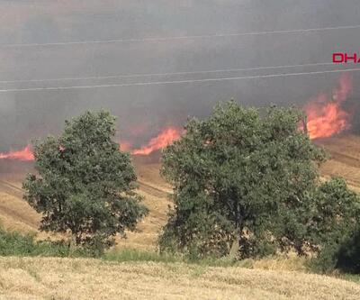 Tarım alanlarında yangın hasarı