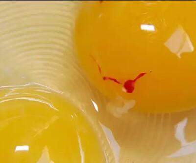 Kırmızı lekeli yumurta yemek tehlikeli mi Bilim insanları yanıtladı
