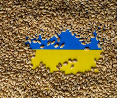 4 soruda Polonya-Ukrayna tahıl krizi dünyayı nasıl etkileyecek