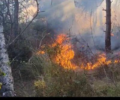 Sultangazi Kent Ormanındaki yangın söndürüldü: Yaklaşık 10 dönüm alan kül oldu