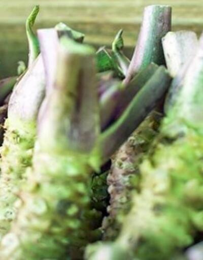 Wasabi nedir Wasabi nasıl tüketilir Wasabi neyden yapılır