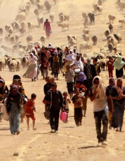 Irakta 100 bin Ezidi DEAŞ nedeniyle ülkeyi terk etti