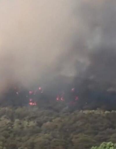 Heybeliadada orman yangını | Video
