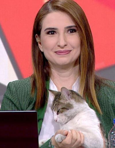 CNN TÜRK  canlı yayınına davetsiz misafir