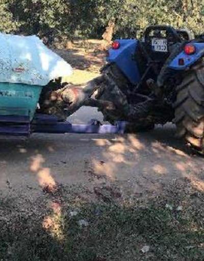 Dedesinin kullandığı traktörden düşüp öldü