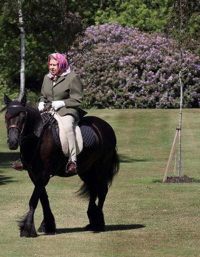 İngiltere Kralı Charles, Kraliçe’nin yarış atlarını satışa çıkardı
