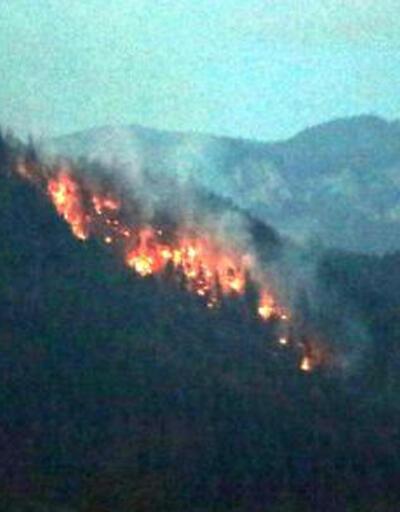 Yedigöller Milli Parkı yolunda çıkan orman yangını söndürüldü