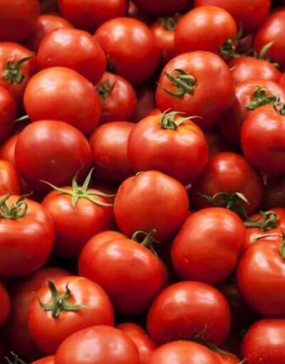 Prof. Dr. Canan Karatay uyarıyor: Her öğünde tükettiğiniz domatesin tehlikesi büyük