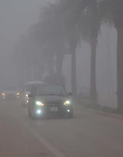 Reyhanlı’da yoğun sis hayatı olumsuz etkiliyor