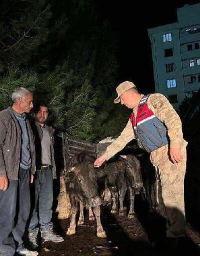 Diyarbakır’da büyükbaş hayvan hırsızlığı şüphelisi 2 kişi tutuklandı