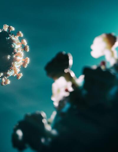 Almanyada koronavirüs aşısının yan etkilerine ilişkin karar: 253 kişi tazminat hakkı kazandı