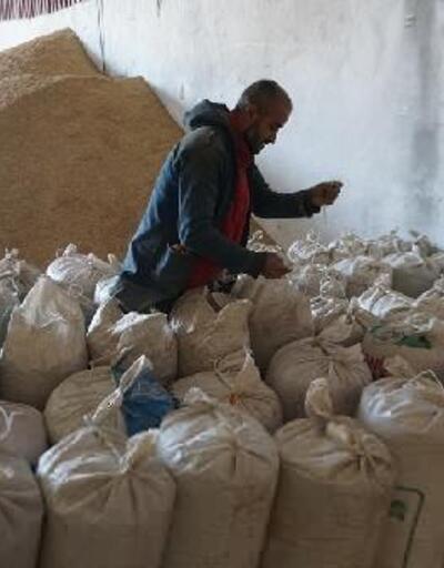 Siirt’teki hayvan yetiştiricilerinden deprem bölgesindeki hayvanlara yem yardımı