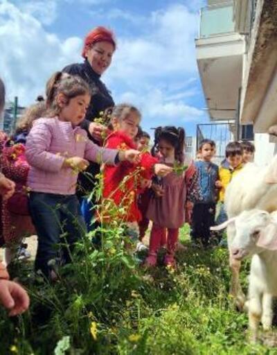 Depremzede çocuklar, enkazdan çıkartılan hayvanları sevdi