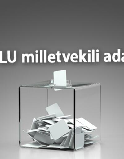 Bolu milletvekili adayları 2023 AK Parti, CHP, MHP, İYİ Parti, Yeşil Sol Parti Bolu 28. Dönem milletvekili adayları kimler