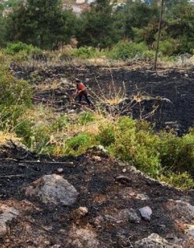 Gaziantepte orman yangınında 4 hektar alan zarar gördü