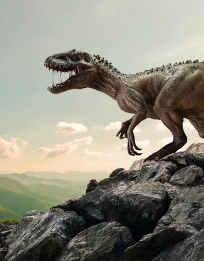Dinozor İsimleri: En Bilinen Dinozor İsimleri ve Özellikleri Nelerdir
