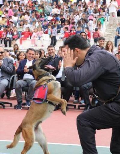 Tokatta jandarma arama köpekleri öğrencilere  hünerlerini sergiledi