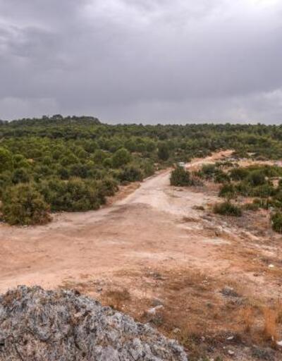 Antalyanın 450 dönümlük Millet Ormanı Kepezde kuruluyor