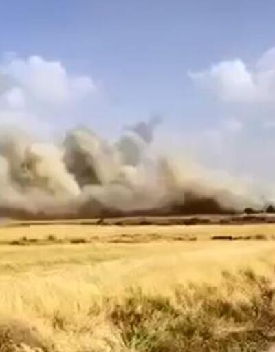 Mardinde 150 dönüm alanda ekili buğday yandı