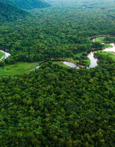 Brezilyada Amazonlardaki ormansızlaşma 2023te üçte bir azaldı