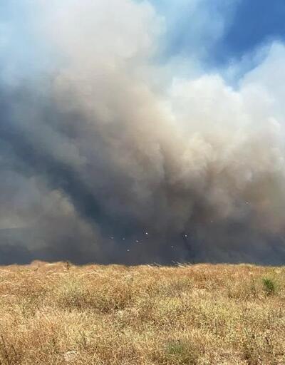 Çanakkaledeki orman yangını: Rüzgarın etkisiyle alevler büyümeye başladı