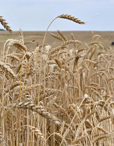 Ukraynadan uyarı: Rusya ülkede tahıl limanı bırakmayacak