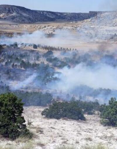 Eskişehir’de 3 orman yangını erken müdahaleyle söndürüldü