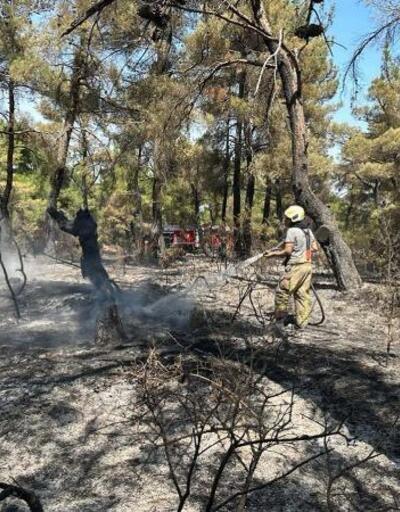 Çanakkaledeki yangına İzmirden destek