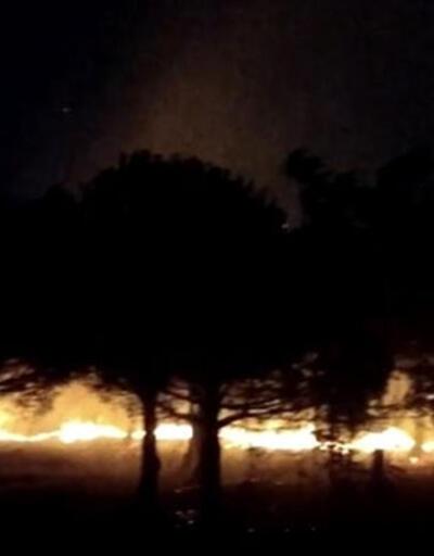 Son dakika: İstanbul Maltepedeki orman yangını kontrol altına alındı