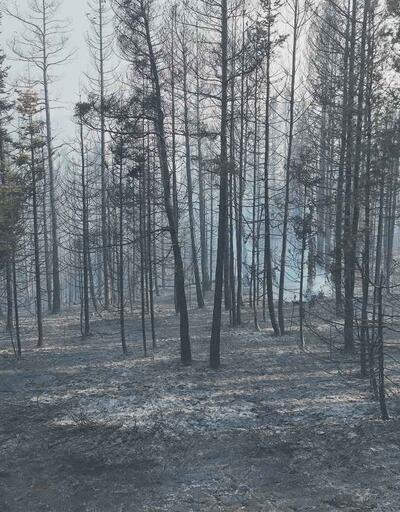 Boludaki orman yangını 22,5 saatte kontrol altında