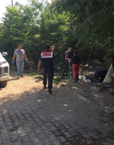 Edirne’de okul çevrelerindeki saldırgan köpekler toplanıyor