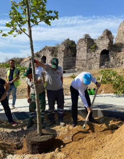 Birleşmiş Milletler Gönüllülerinden oluşan heyet Fatih’te ağaç dikti