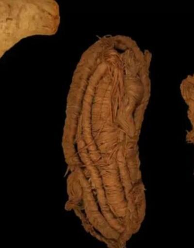 Avrupanın en eski ayakkabısı İspanyada bir mağarada bulundu