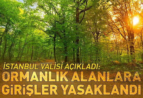 İstanbul Valisi açıkladı: Ormanlık alanlara girişler yasaklandı