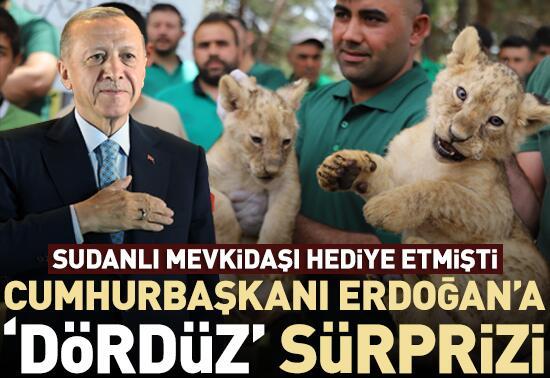 Cumhurbaşkanı Erdoğan’a dördüz sürprizi