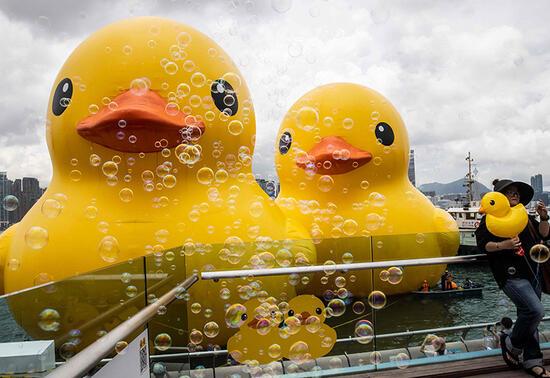 Dev ördek Hong Kong'a geri döndü