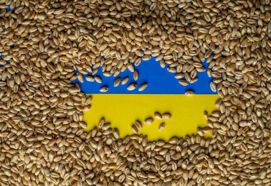 4 soruda Polonya-Ukrayna tahıl krizi dünyayı nasıl etkileyecek?