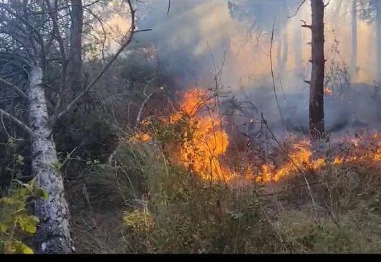 Sultangazi Kent Ormanı'ndaki yangın söndürüldü: Yaklaşık 10 dönüm alan kül oldu