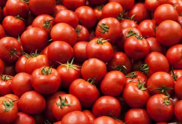 Prof Dr Canan Karatay uyarıyor Her öğünde tükettiğiniz domatesin tehlikesi
