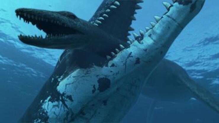 15 metrelik dev deniz canavarı