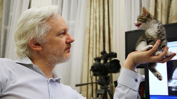 Assange'a kedi hediyesi