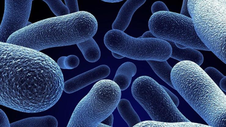 Tüm antibiyotiklere bağışıklık sahibi bakteri bulundu
