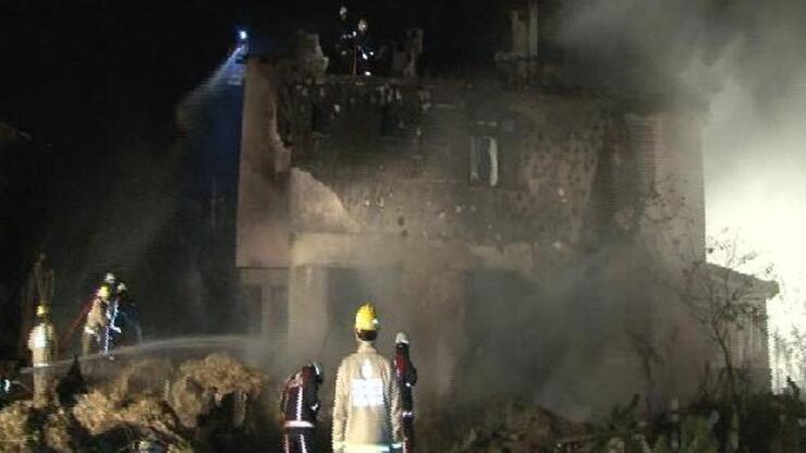 Riva'da 3 katlı bina yandı, çok sayıda hayvan telef oldu
