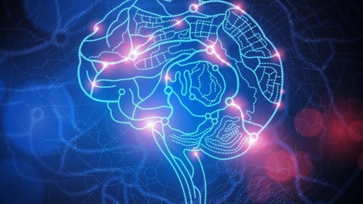 Nöroplastisite ile beyninizi yenilemek mümkün mü?