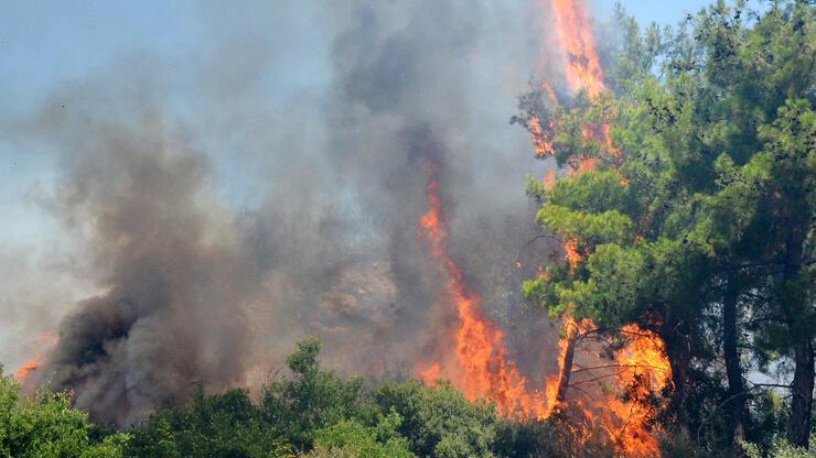Antalya'da orman yangını bilançosu: 233 hektar alan kül oldu